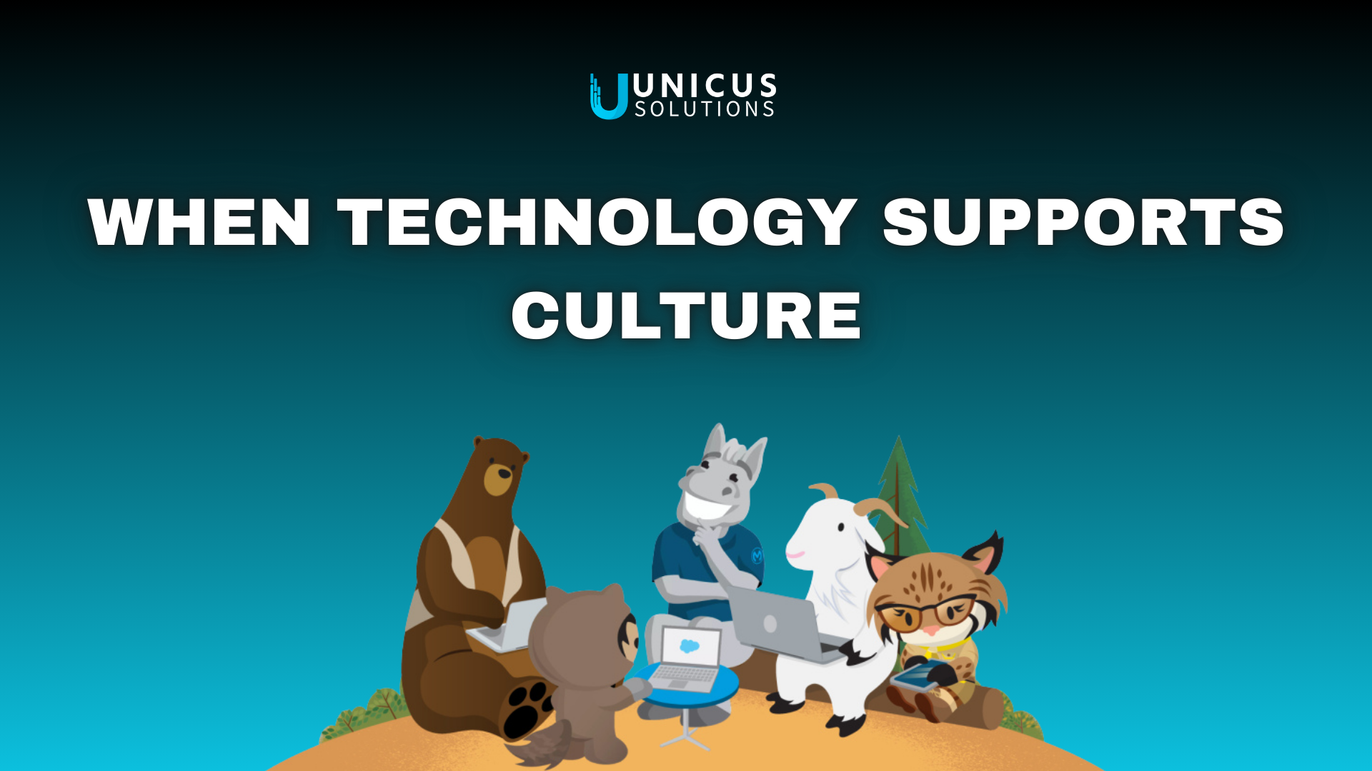 When Technology Supports Culture, Not Just Process